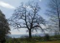 DSCN4873.JPG