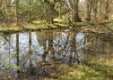 DSCN4898.JPG