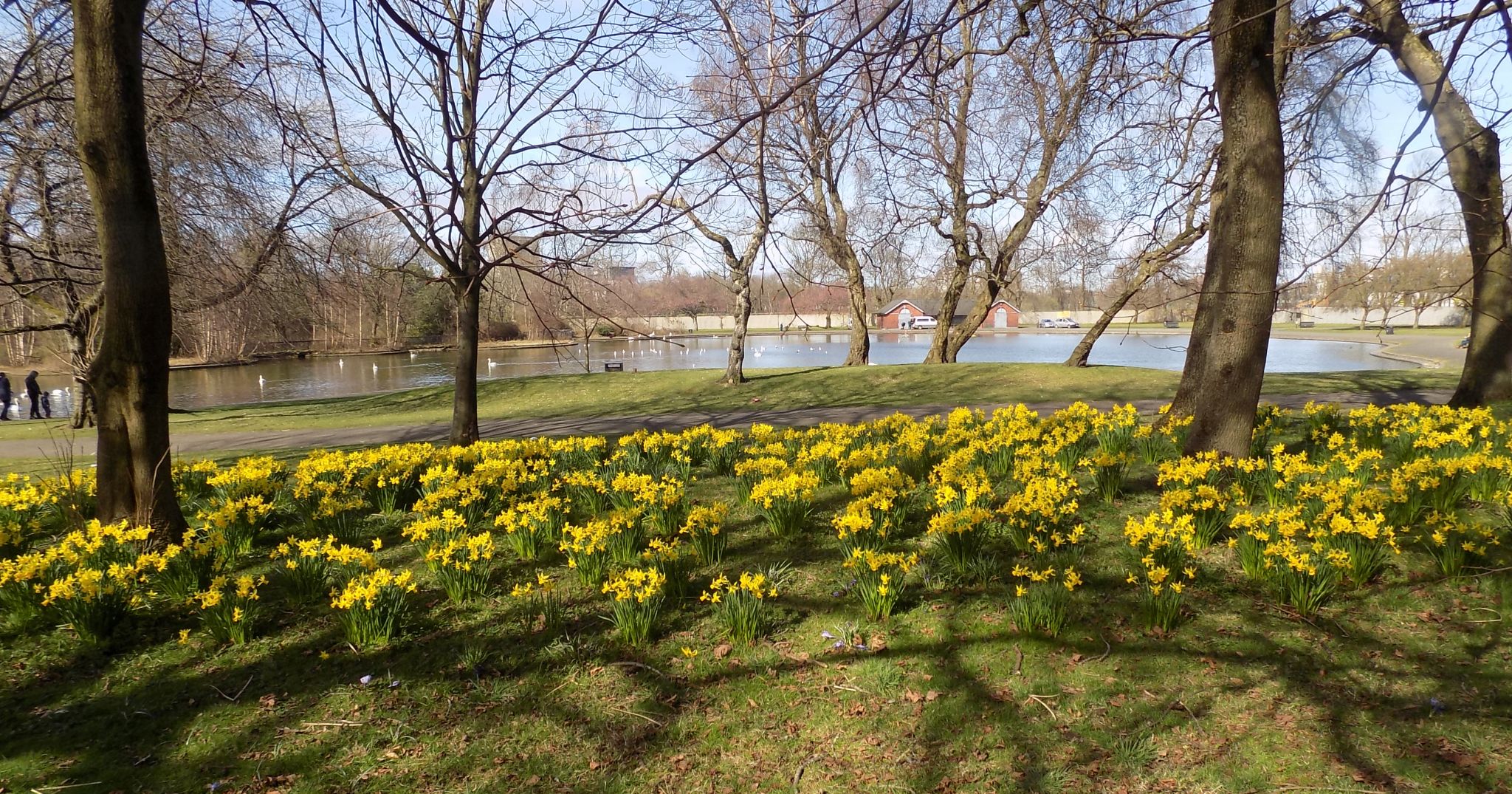 Richmond Park in Glasgow