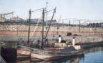puffers_queens_dock.jpg