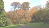 DSC05747.JPG