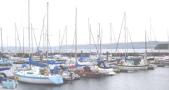 DSC04742.JPG