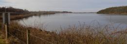 DSCN7435.JPG