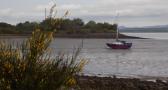 DSCN7821.JPG