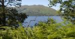 DSCN3160.JPG