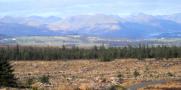 DSCN0947.JPG
