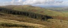 DSCN8278.JPG