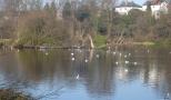 DSC01535.JPG