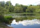 DSCN2776.JPG
