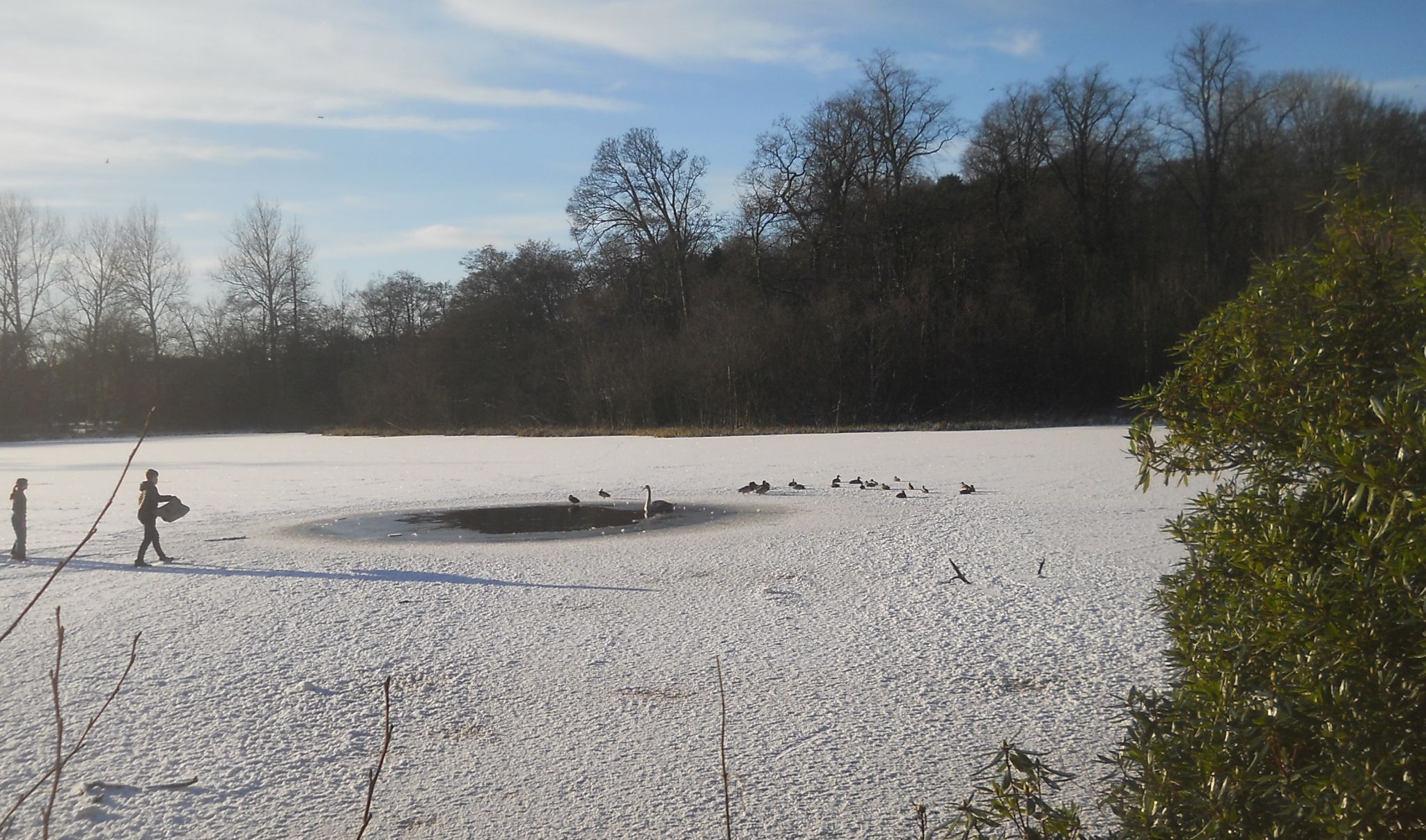 Winter snow scene at Kilmardinny Loch in Bearsden