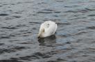 DSCN7623.JPG
