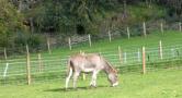 DSCN1474.JPG