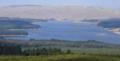 DSC06234.JPG