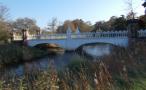 DSCN1537.JPG