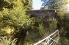DSCN6090.JPG