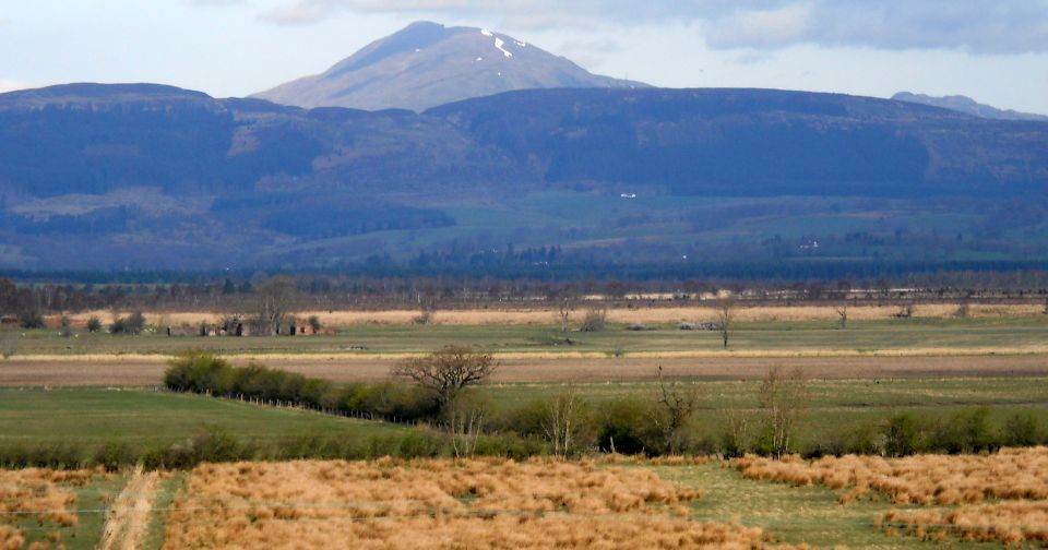 Ben Lomond from Rennie's Loan