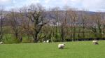 DSCN5027.JPG