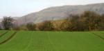 DSCN3592.JPG