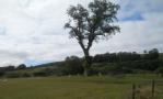 DSCN6274.JPG