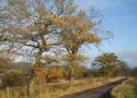 DSCN0904.JPG
