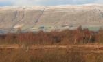 DSCN2116.JPG