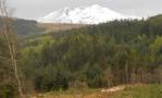 DSCN5250.JPG