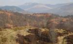 DSCN4368.JPG