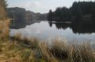 DSCN4382.JPG