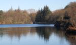 DSCN4924.JPG