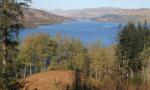 DSCN4953.JPG