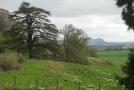 DSCN2549.JPG