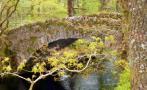 DSCN5453.JPG