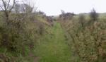 DSCN0566.JPG