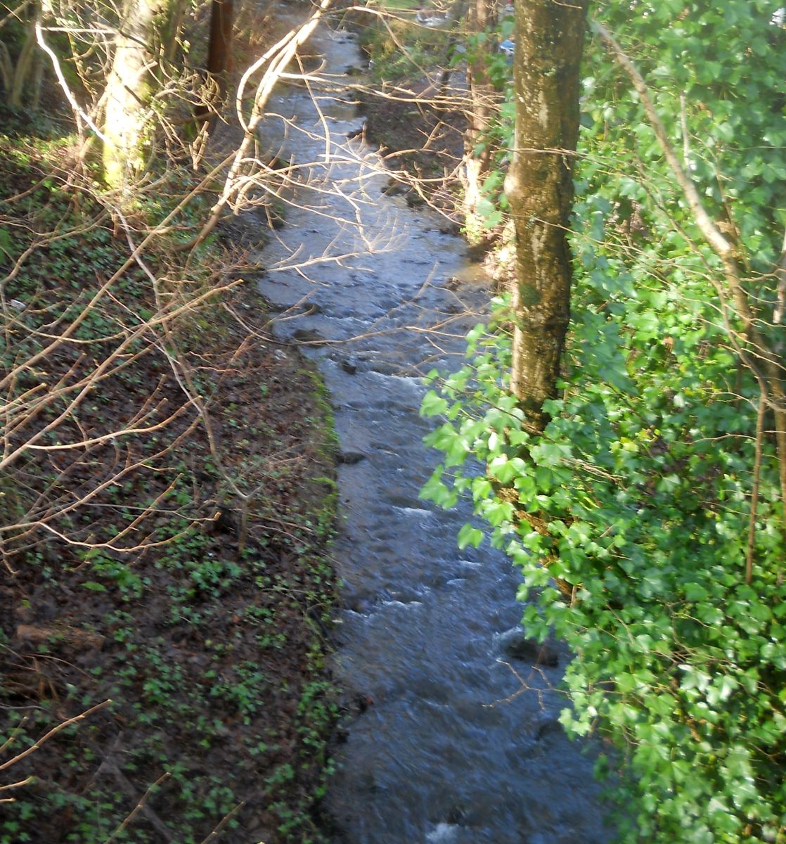 Manse Burn at Grange Road in Bearsden