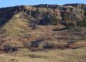 DSC04032.JPG