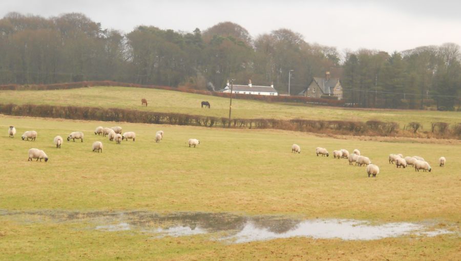 View from the Thomas Muir Trail from Lennoxtown to Milton of Campsie