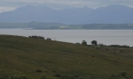 DSCN3435.JPG