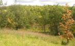 DSCN5969.JPG