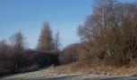 DSCN0389.JPG