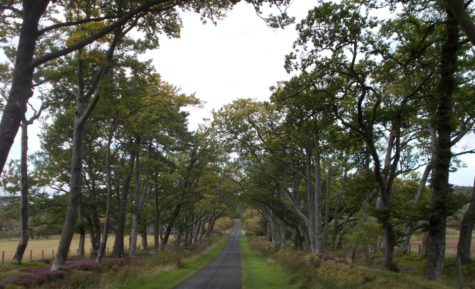 Bavelaw Castle Driveway