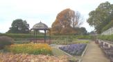 DSC05577.JPG