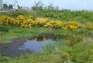 DSC04774.JPG
