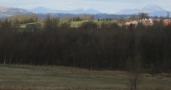 DSCN2906.JPG