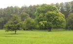 DSCN6016.JPG