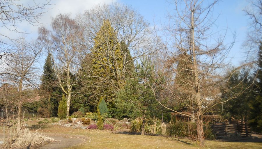 Gardens in Rouken Glen Park