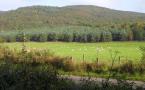 DSCN6683.JPG