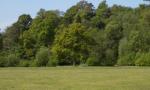 DSCN0739.JPG