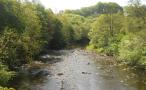 DSCN7731.JPG