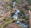 DSCN0534.JPG