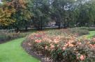 DSC05442.JPG